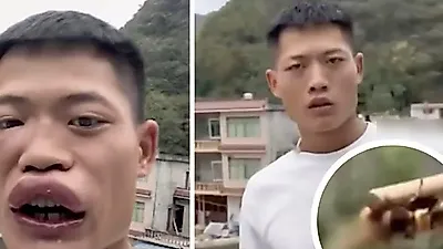 랄랄 집 환풍기에 말벌 떼…'처소 마련한 듯' 소방서 연락 안내