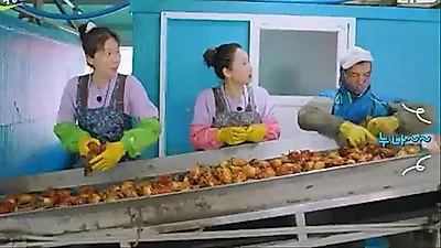 '언니네 산지직송3' 염정아·노윤서, 1.8톤 멍게 더미 앞에 멈춰선 이유