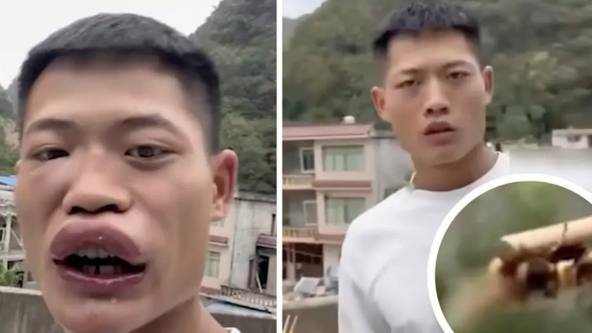 랄랄 집 환풍기에 말벌 떼…'처소 마련한 듯' 소방서 연락 안내