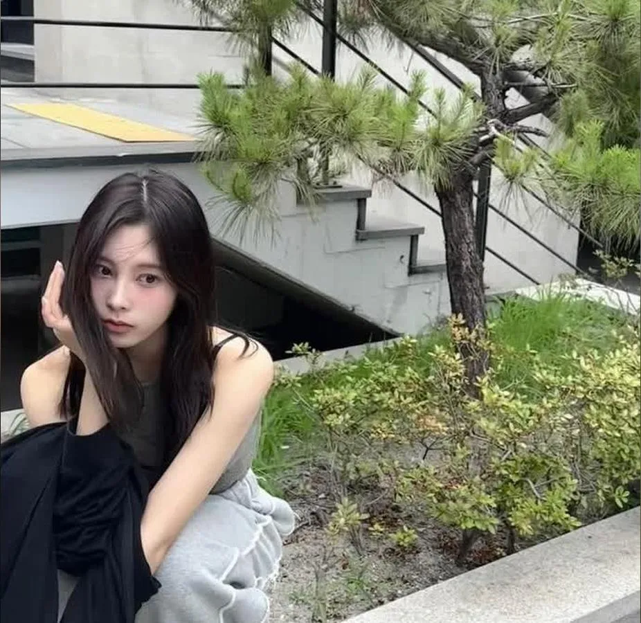 성한빈 이끄는 더라이브레이블, 하야시 후코·이수영 합류한 신인 걸그룹 론칭 예열